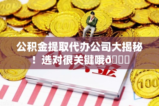 泾县公积金提取代办公司大揭秘！选对很关键哦😎