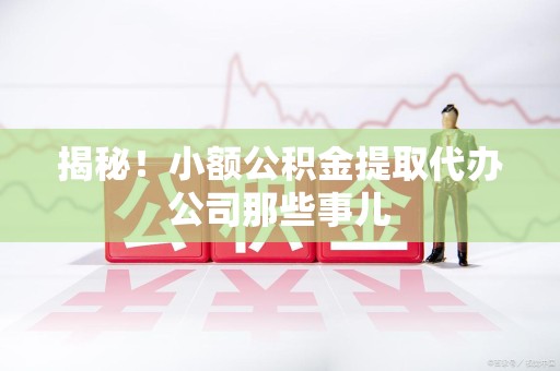 泾县揭秘！小额公积金提取代办公司那些事儿